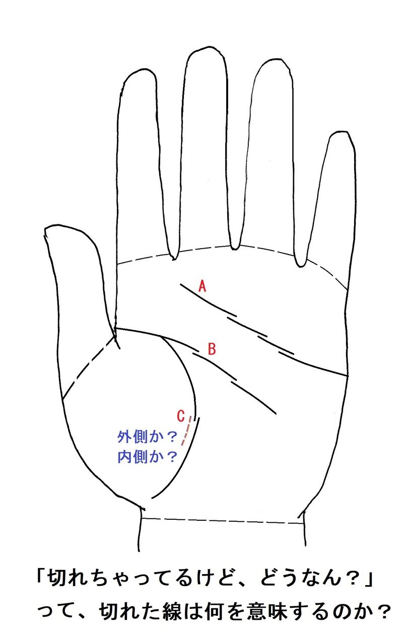 手相は究極の個人情報だ その57 切れちゃってるけど どうなん の巻 本真 弐望 似望 の幸せ手相探求