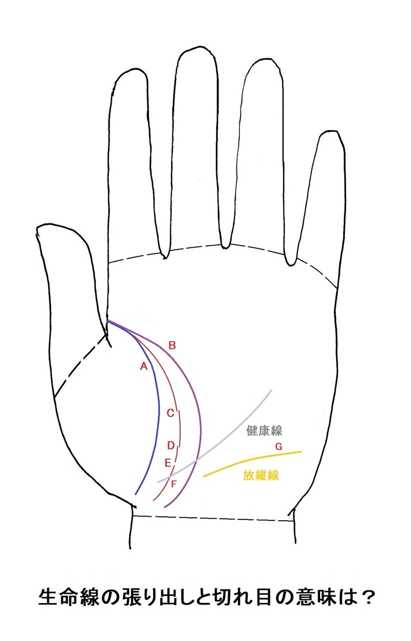 手相は究極の個人情報だ その39 生命線の張り出しと切れ目などの巻 本真 弐望 似望 の幸せ手相探求