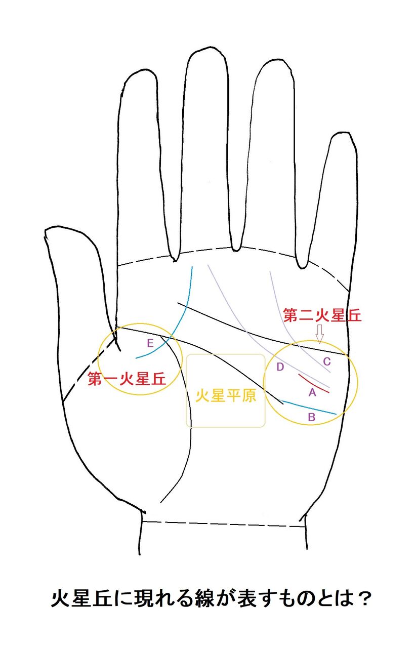 手相は究極の個人情報だ その45 火星丘に現れる線が表すものとは の巻 本真 似望の幸せ手相探求 手相は究極の個人情報だ その45 火星丘に現れる線が表すものとは の巻 本真 似望の幸せ手相探求
