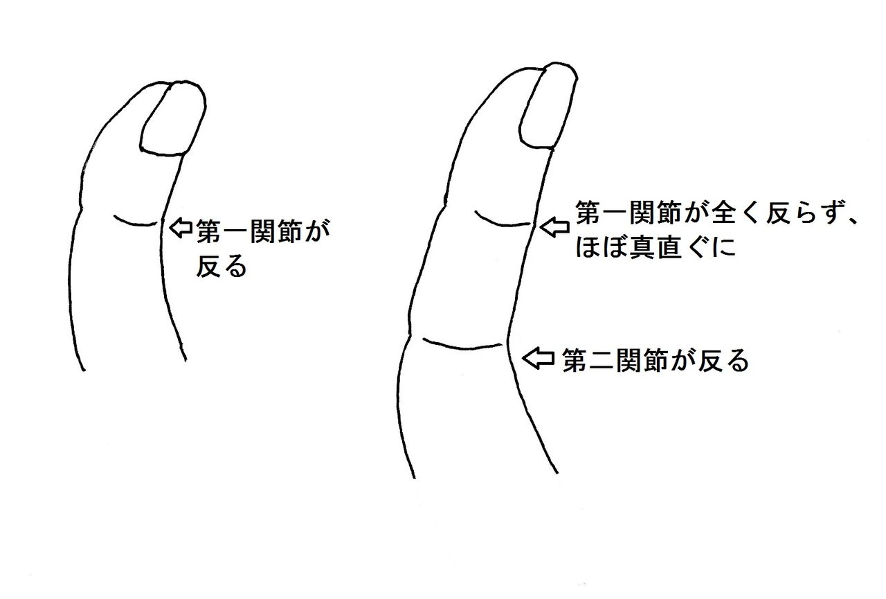 手相は究極の個人情報だ その1 親指第一関節の巻 本真 弐望 似望 の幸せ手相探求 手相は究極の個人情報だ その1 親指第一関節の巻 本真 弐望 似望 の幸せ手相探求