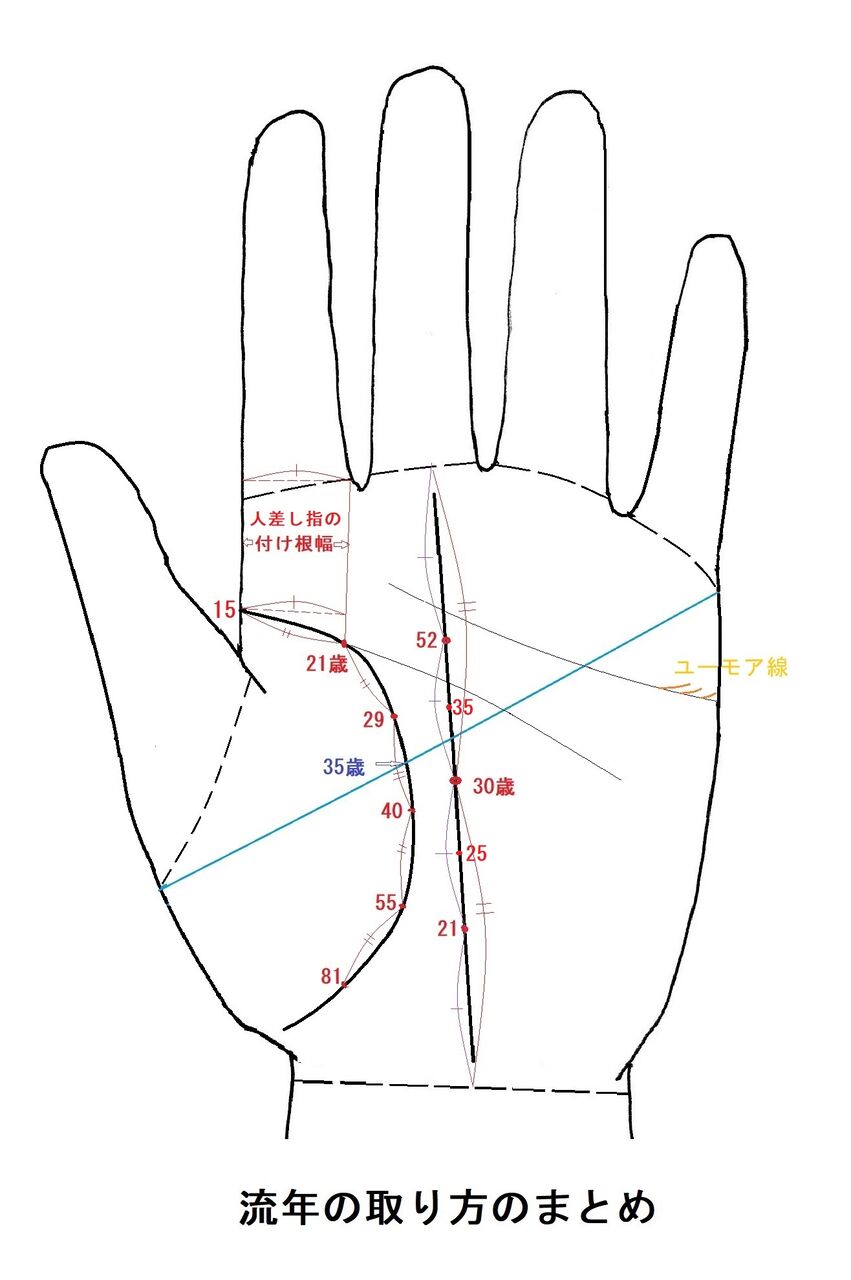  54 