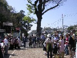 DSCN9655
