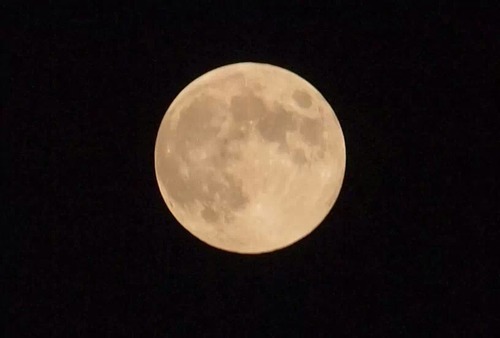 IMG_459121478988830
