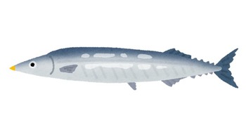 E23a7c43 s