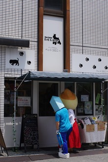 IMGP7800
