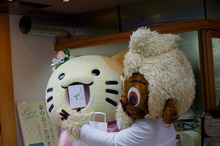 th__IGP1200