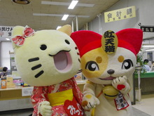 IMGP2924