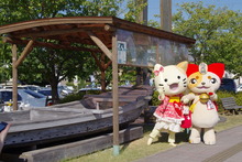 IMGP2936