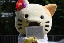 th_DSC_0461