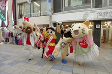 th__IMG7122