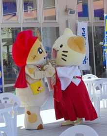 IMGP2840