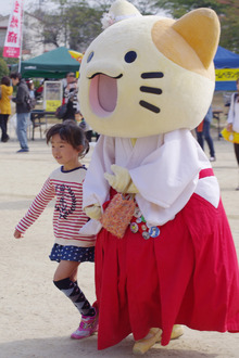IMGP8991