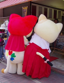 IMGP2893