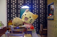 th__IGP1238