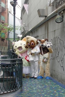 th__IMG7363