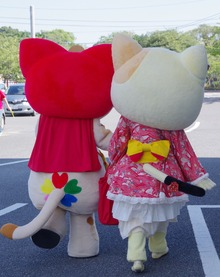 IMGP2932