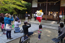 IMGP2492_2