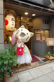 th__IMG7082