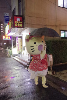 IMGP3048