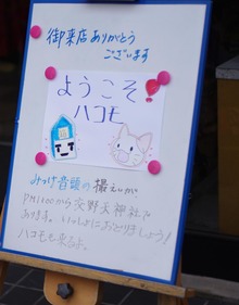 IMGP7968