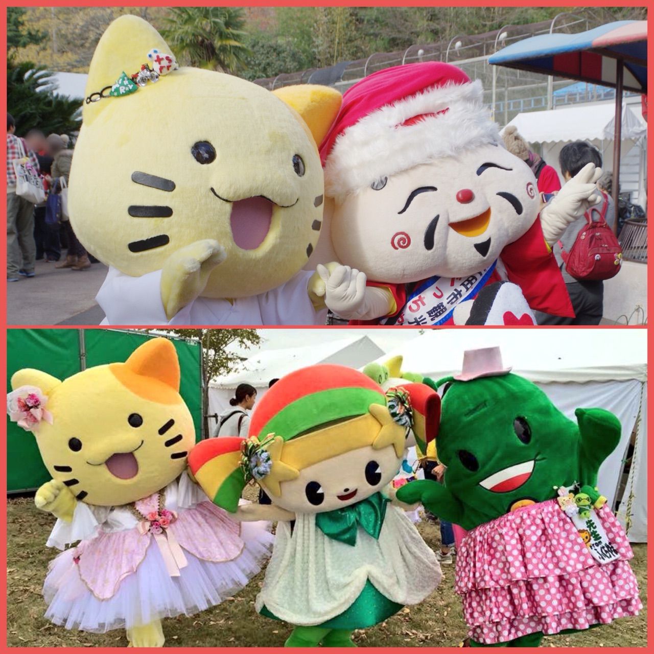 ちゃん え みた とら