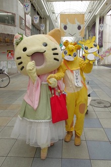 th__IMG6842