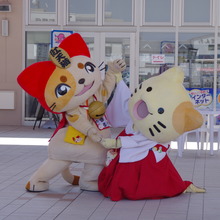 IMGP2865