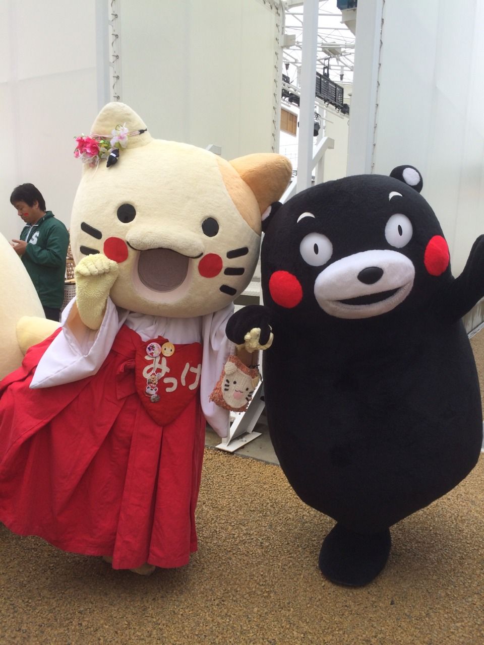 くまモンファン感謝祭in大阪15年2月8日 日 みっけちゃん 公式サイト 大阪府枚方市くずは