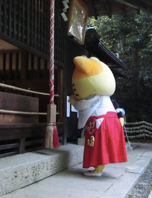 6C0ED503-7778-4CD9-8711-58D28D086595