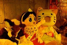 th__IGP1120