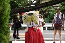 th_DSC_0452