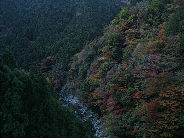 イメージ 4