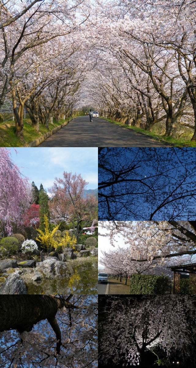 イメージ 1