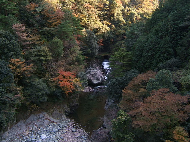 イメージ 1