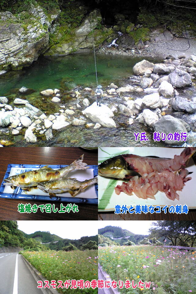 イメージ 1