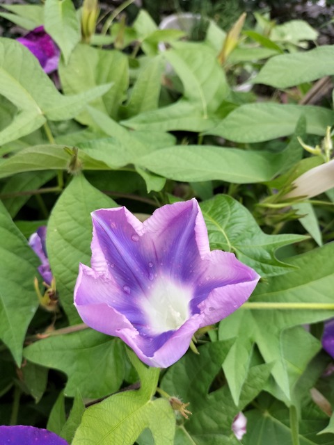 IMG20220813143912_copy_1147x1529