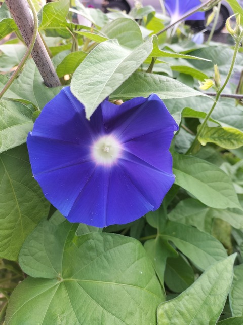 IMG20220809064213_copy_1115x1488