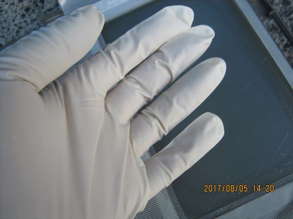 IMG_1230_R