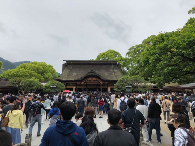 57336127_445676002868300_6054974602466033664_n