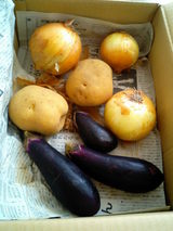 Ǥäܡ䡡ڽܤΤڥץ쥼ȡ