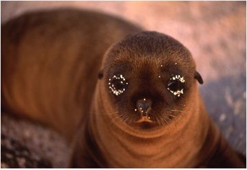 ����ѥ���������ѥ���������