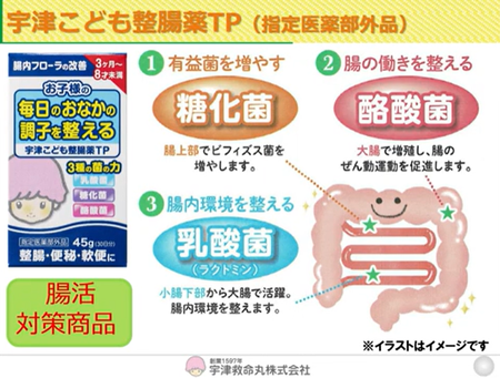 ꡼󥷥å 2025-05-30 132415