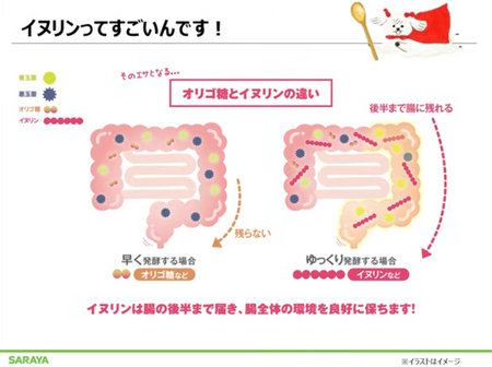 �����꡼�󥷥�å� 2026-01-02 205135