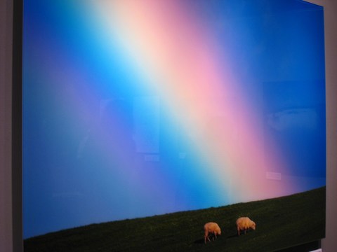 �˥塼�������ɡ�����ޥ�ǥ����