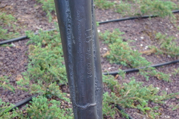 ���ꥢ��ʥ�С�����