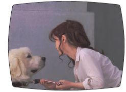 ��������եȡ�CM���򤤸�