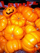 ̵�����ʤβ�����