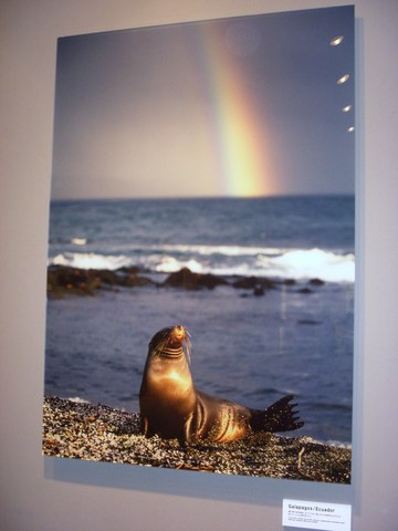 ����������