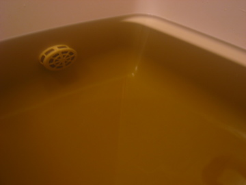 ����Τ����Ⱦ�������