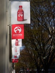 ɽ��ƻ�ҥ륺���˥��쥤���������顡��ǥ�������å�